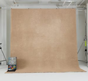 Beige, Brown and White