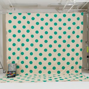 Oliphant Studio hand-painted backdrop