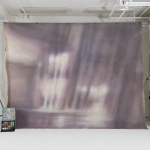 Oliphant Studio hand-painted backdrop