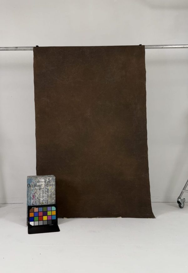 Oliphant Studio hand-painted backdrop