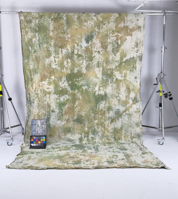 Oliphant Studio hand-painted backdrop