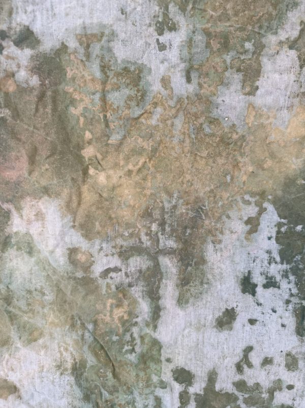 Oliphant Studio hand-painted backdrop