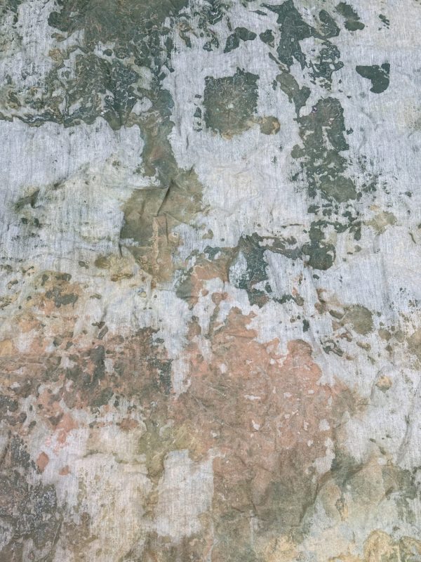 Oliphant Studio hand-painted backdrop