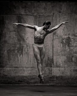 Photographer: Deborah Ory & Ken Browar