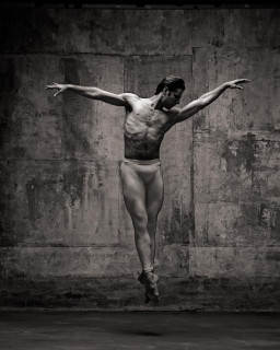 Photographer: Deborah Ory & Ken Browar