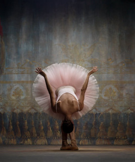 Photographer: Ken Browar & Deborah Ory
