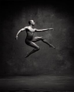 Photographer: Deborah Ory & Ken Browar
