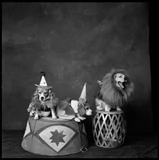Photographer: Mary Ellen Mark