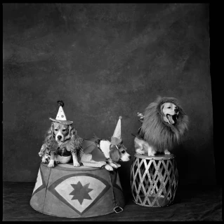 Photographer: Mary Ellen Mark